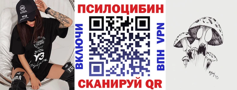 Псилоцибиновые грибы Cubensis  Гурьевск 